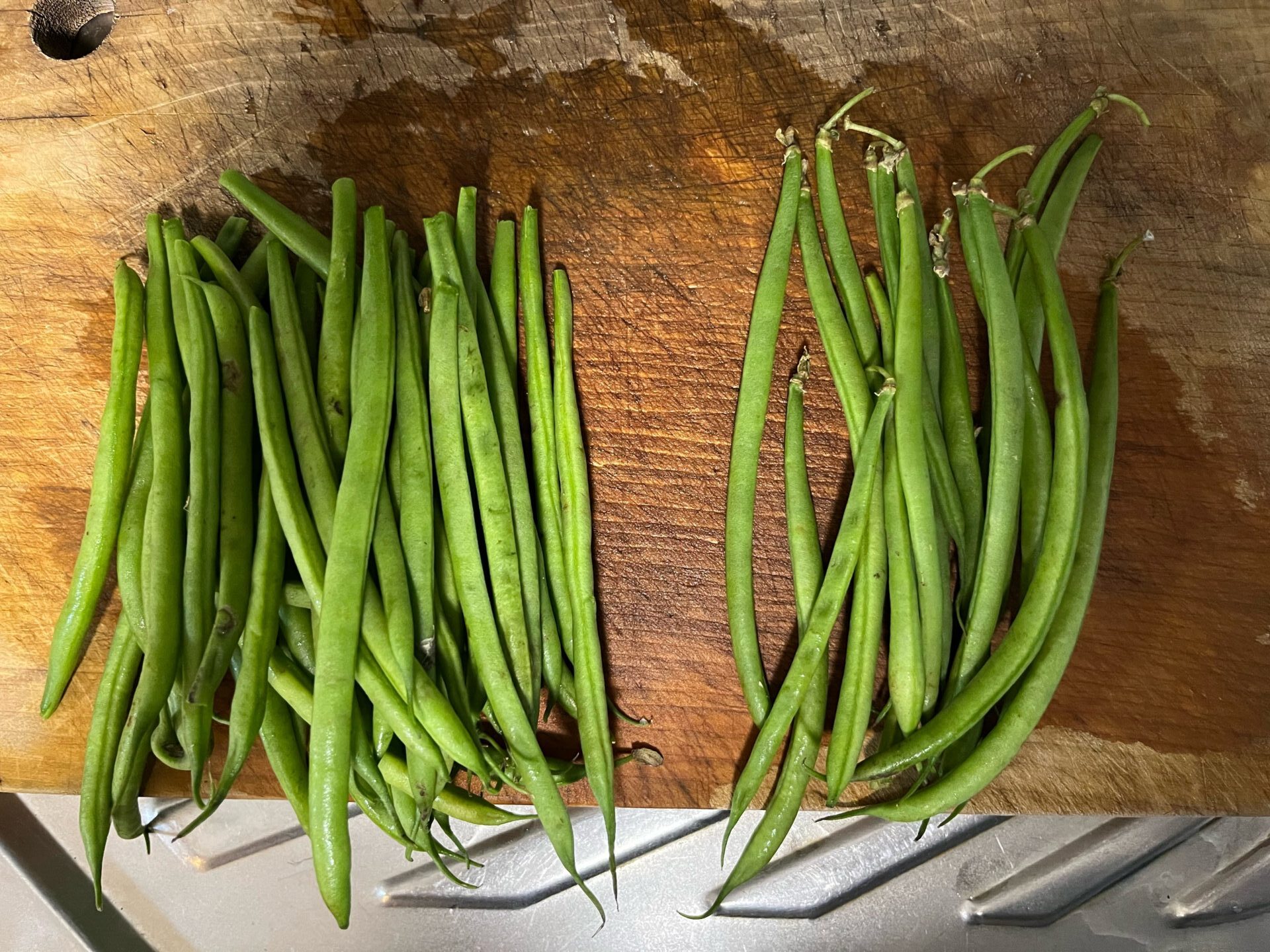 Haricot vert、サヤインゲンの一種です。