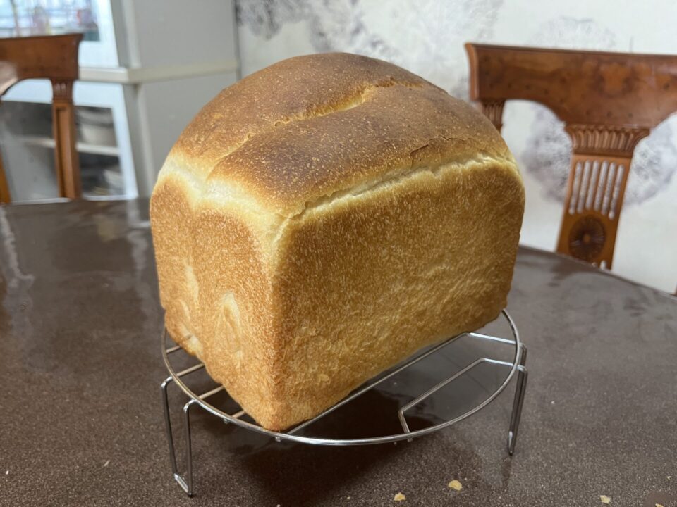 自家製酵母の焼きたてぶどうパン