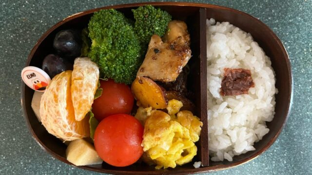 今日のお弁当(6/5)