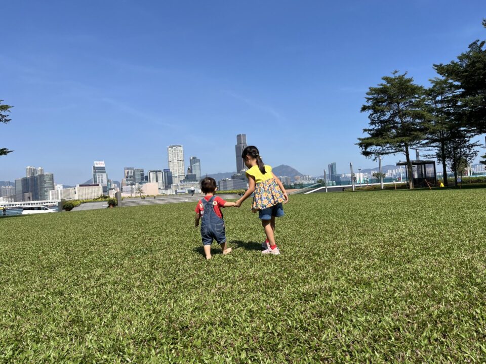 添馬公園の芝生